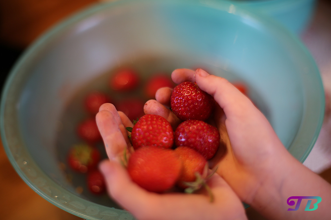Erdbeeren vorsichtig in Schüssel legen